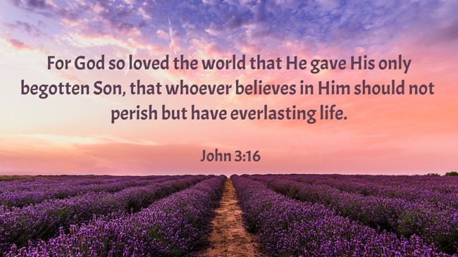 For God so loved the world that He gave His only begotten Son, that whoever believes in Him should not perish but have everlasting life. - John 3:16