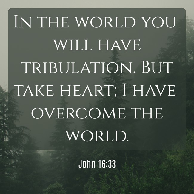 In the world you will have tribulation. But take heart; I have overcome the world. - John 16:33