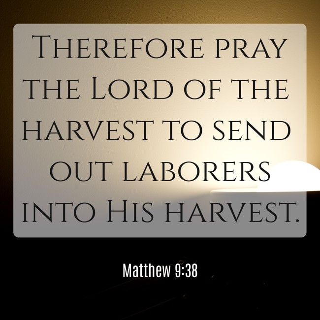Therefore pray the Lord of the harvest to send out laborers into His harvest. - Matthew 9:38
