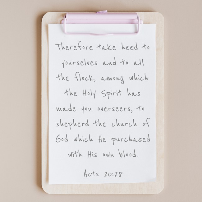 Therefore take heed to yourselves and to all the flock, among which the Holy Spirit has made you overseers, to shepherd the church of God which He purchased with His own blood. - Acts 20:28
