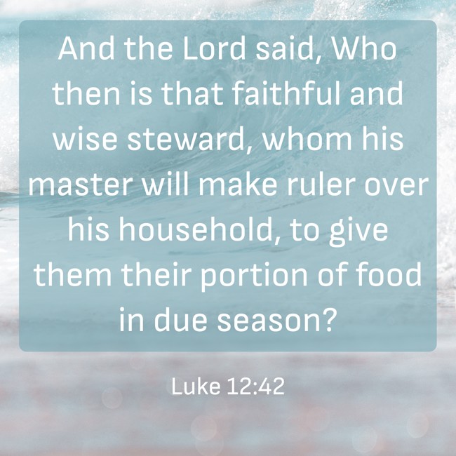 And the Lord said, Who then is that faithful and wise steward, whom his master will make ruler over his household, to give them their portion of food in due season? - Luke 12:42