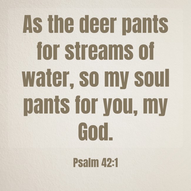 As the deer pants for streams of water, so my soul pants for you, my God. - Psalm 42:1