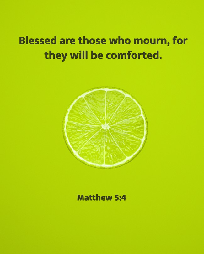 Blessed are those who mourn, for they will be comforted. - Matthew 5:4