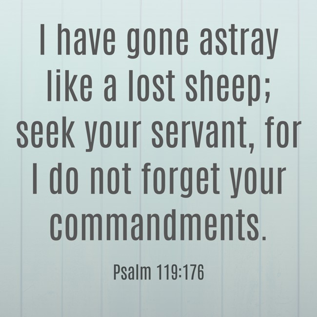 I have gone astray like a lost sheep; seek your servant, for I do not forget your commandments. - Psalm 119:176