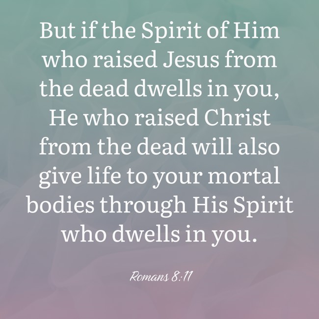 But if the Spirit of Him who raised Jesus from the dead dwells in you, He who raised Christ from the dead will also give life to your mortal bodies through His Spirit who dwells in you. - Romans 8:11