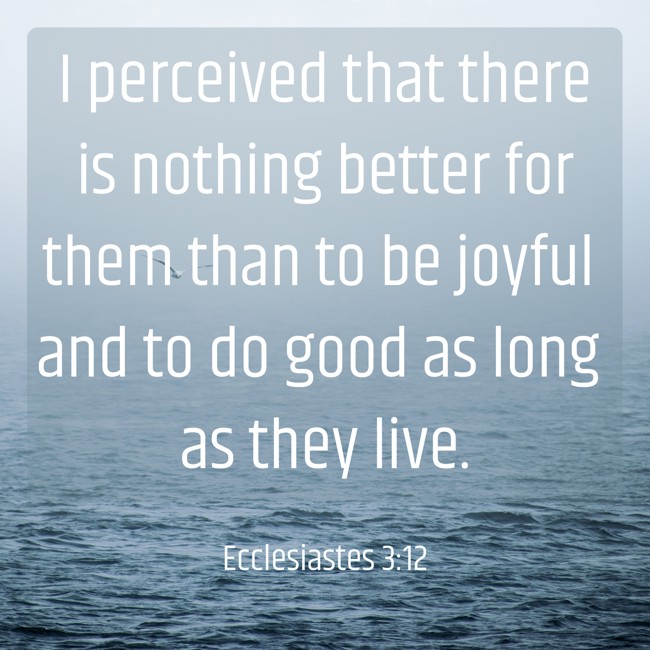  I perceived that there is nothing better for them than to be joyful and to do good as long as they live.   - Ecclesiastes 3:12 