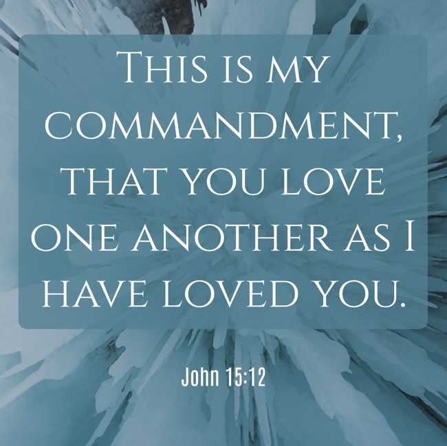  This is my commandment, that you love one another as I have loved you.   - John 15:12 