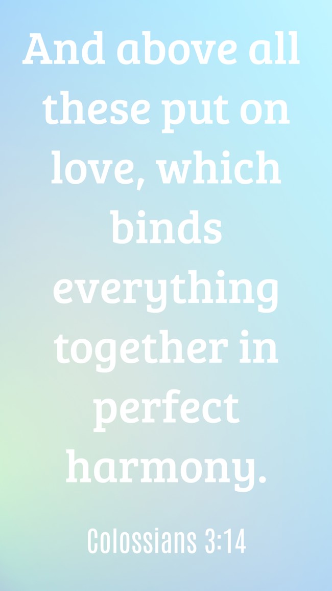  And above all these put on love, which binds everything together in perfect harmony.   - Colossians 3:14 