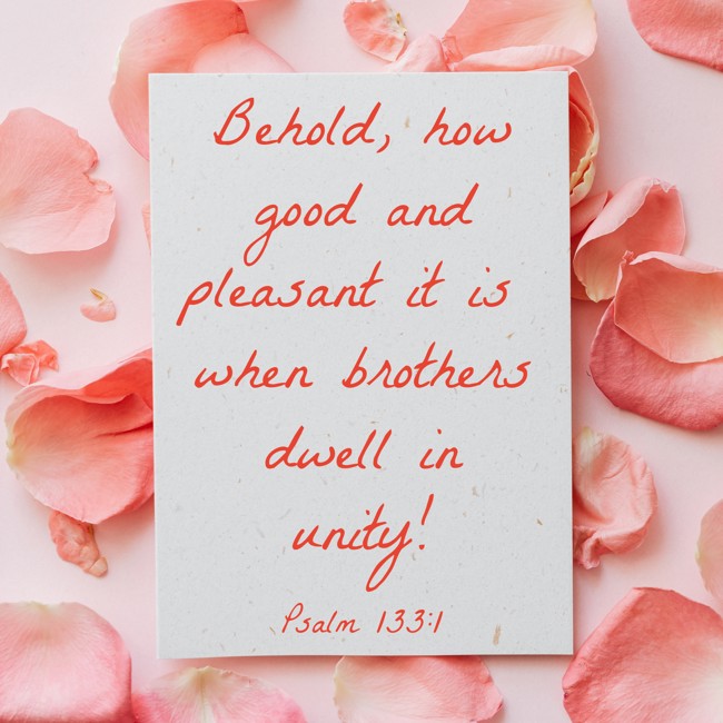  Behold, how good and pleasant it is when brothers dwell in unity!   - Psalm 133:1 