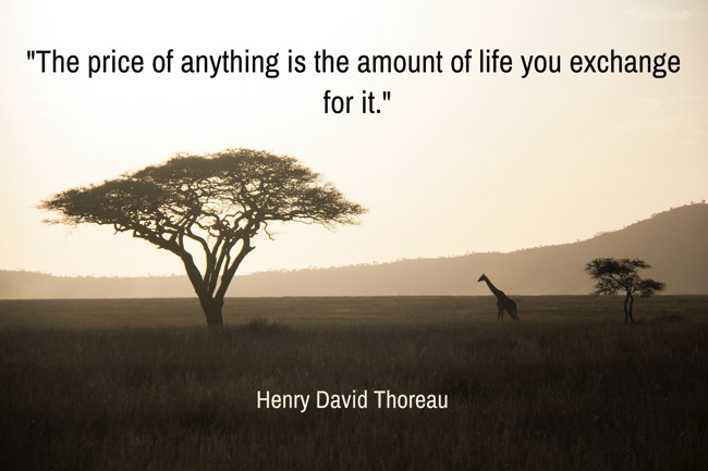  The price of anything is the amount of life you exchange for it.   - Henry David Thoreau 