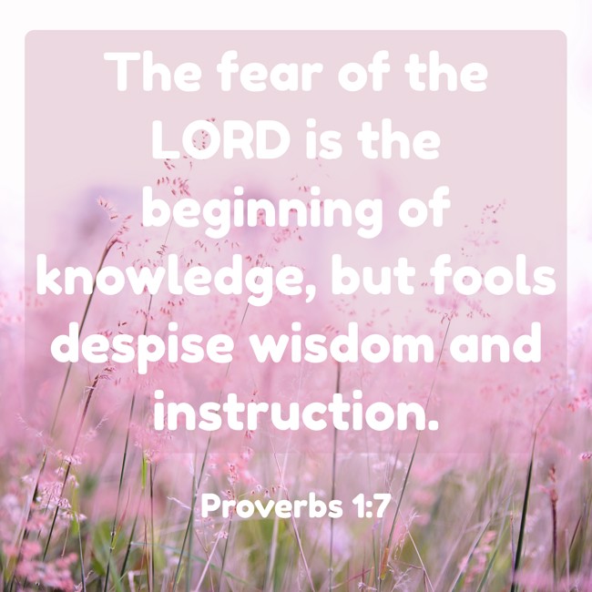 The fear of the LORD is the beginning of knowledge, but fools despise wisdom and instruction. - Proverbs 1:7