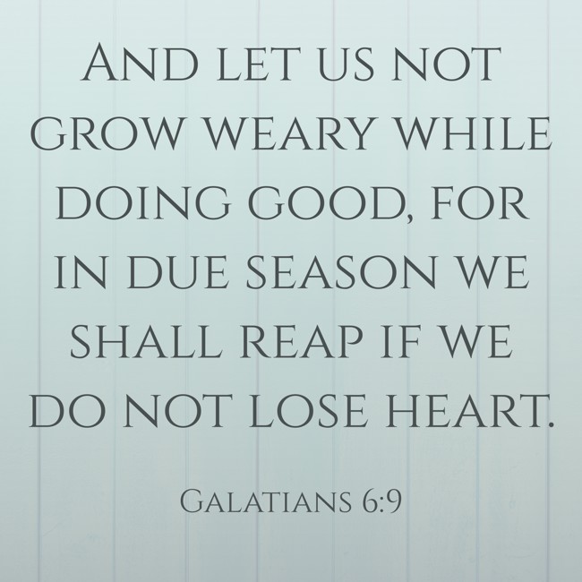 And let us not grow weary while doing good, for in due season we shall reap if we do not lose heart. - Galatians 6:9