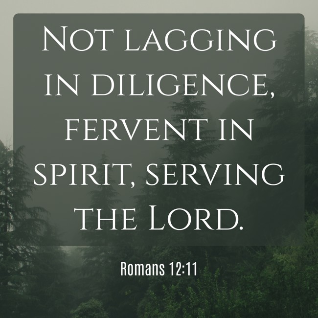 Not lagging in diligence, fervent in spirit, serving the Lord. - Romans 12:11