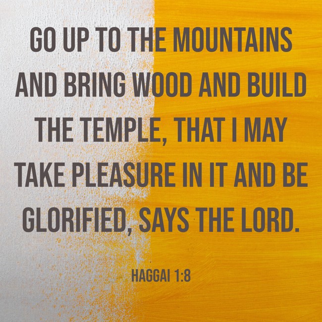 Go up to the mountains and bring wood and build the temple, that I may take pleasure in it and be glorified, says the LORD. - Haggai 1:8