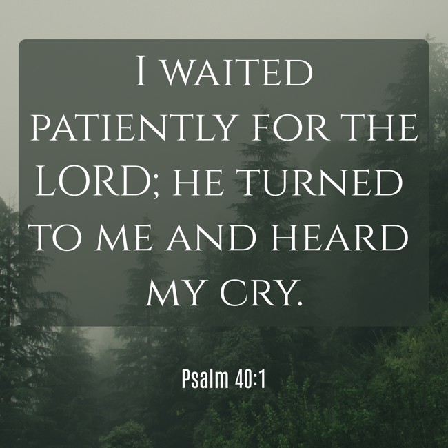 I waited patiently for the LORD; he turned to me and heard my cry. - Psalm 40:1