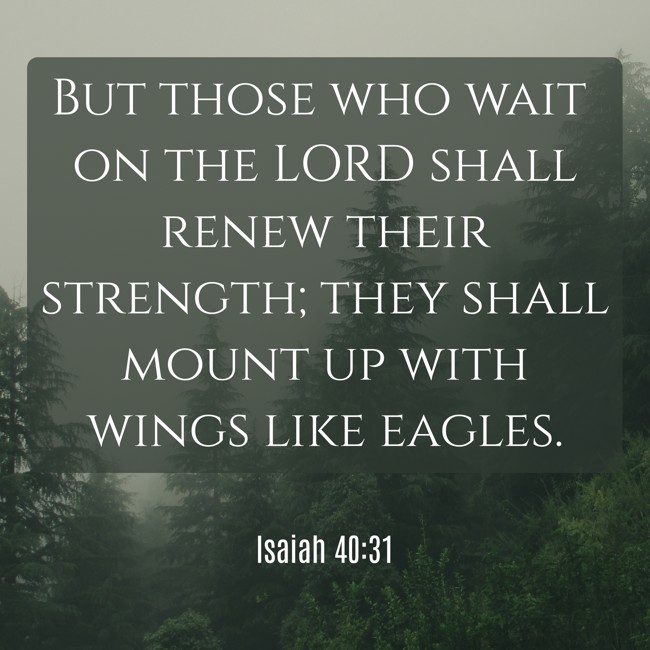 But those who wait on the LORD shall renew their strength; they shall mount up with wings like eagles. - Isaiah 40:31