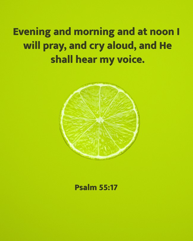  Evening and morning and at noon I will pray, and cry aloud, and He shall hear my voice.   - Psalm 55:17 