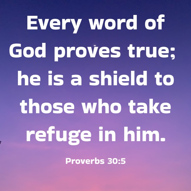 Every word of God proves true; he is a shield to those who take refuge in him. - Proverbs 30:5