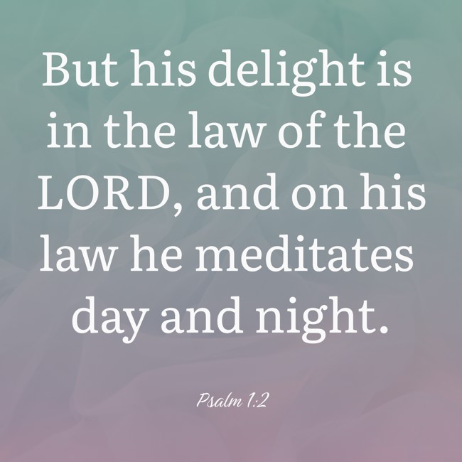 But his delight is in the law of the LORD, and on his law he meditates day and night. - Psalm 1:2