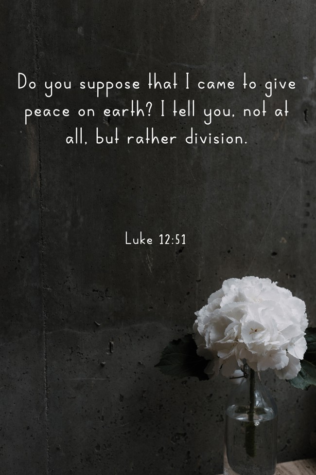 Do you suppose that I came to give peace on earth? I tell you, not at all, but rather division. - Luke 12:51