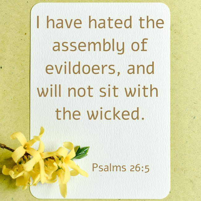 I have hated the assembly of evildoers, and will not sit with the wicked. - Psalms 26:5