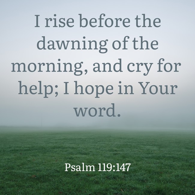 I rise before the dawning of the morning, and cry for help; I hope in Your word. - Psalm 119:147