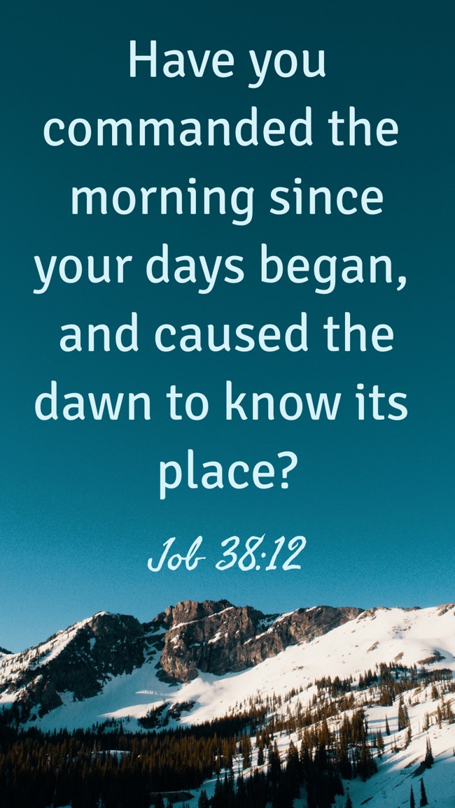 Have you commanded the morning since your days began, and caused the dawn to know its place? - Job 38:12