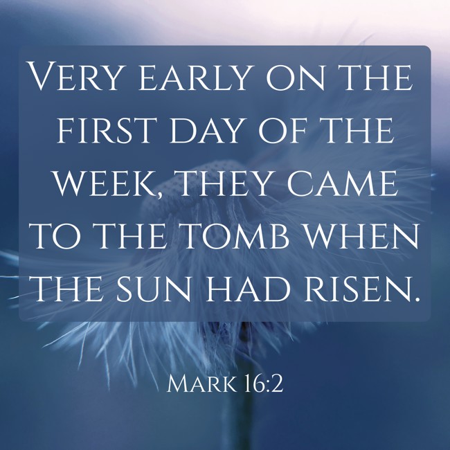 Very early on the first day of the week, they came to the tomb when the sun had risen. - Mark 16:2