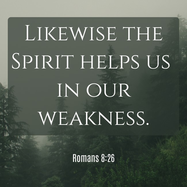 Likewise the Spirit helps us in our weakness. - Romans 8:26