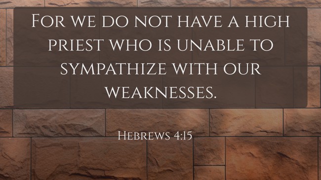For we do not have a high priest who is unable to sympathize with our weaknesses. - Hebrews 4:15