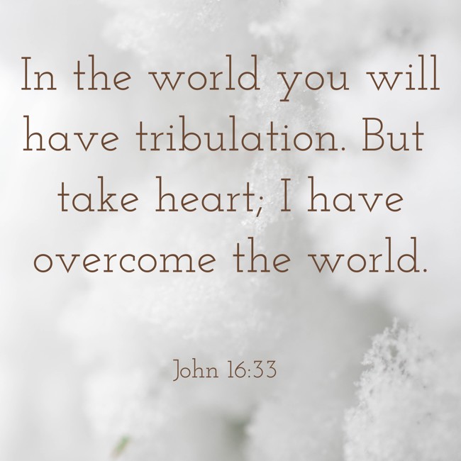 In the world you will have tribulation. But take heart; I have overcome the world. - John 16:33