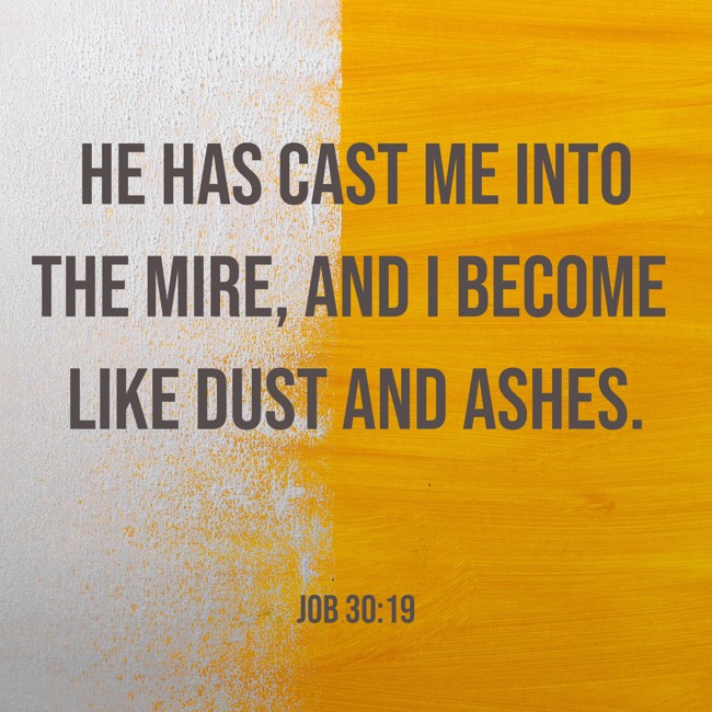 He has cast me into the mire, and I become like dust and ashes. - Job 30:19