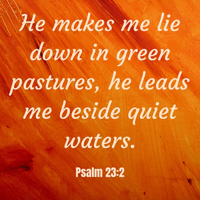 He makes me lie down in green pastures, he leads me beside quiet waters. - Psalm 23:2