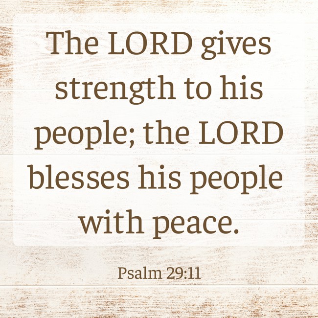 The LORD gives strength to his people; the LORD blesses his people with peace. - Psalm 29:11