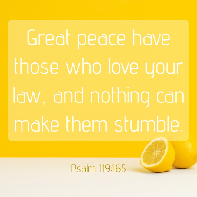 Great peace have those who love your law, and nothing can make them stumble. - Psalm 119:165