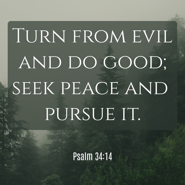 Turn from evil and do good; seek peace and pursue it. - Psalm 34:14