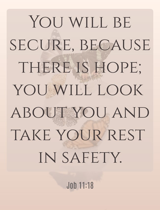 You will be secure, because there is hope; you will look about you and take your rest in safety. - Job 11:18
