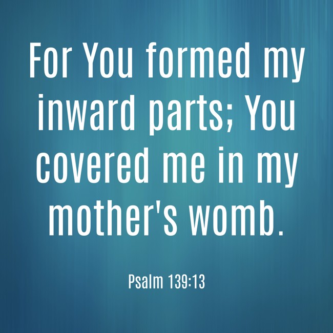 For You formed my inward parts; You covered me in my mother's womb. - Psalm 139:13