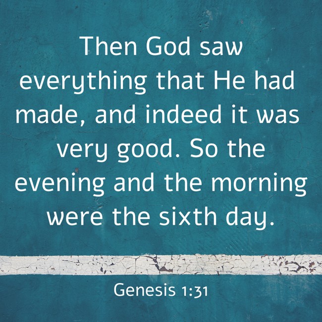 Then God saw everything that He had made, and indeed it was very good. So the evening and the morning were the sixth day. - Genesis 1:31