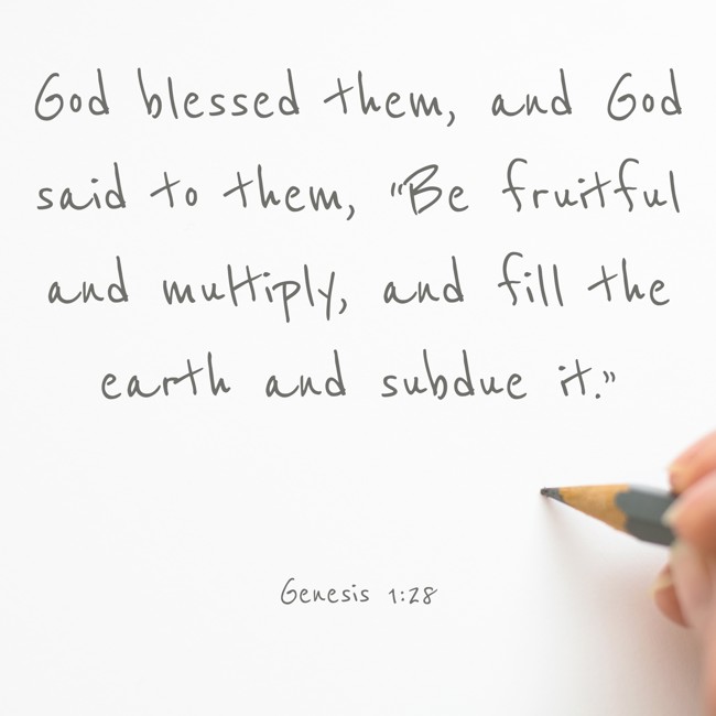  God blessed them, and God said to them, “Be fruitful and multiply, and fill the earth and subdue it.”   - Genesis 1:28 