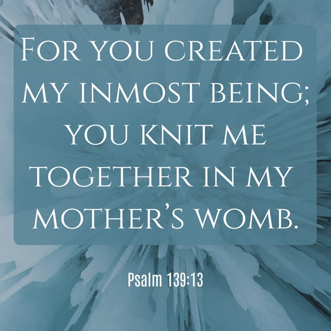  For you created my inmost being; you knit me together in my mother’s womb.   - Psalm 139:13 