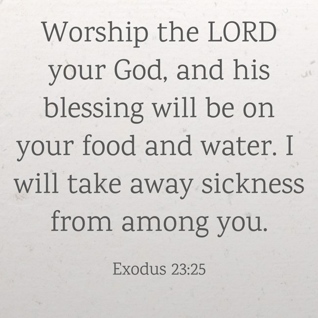  Worship the LORD your God, and his blessing will be on your food and water. I will take away sickness from among you.   - Exodus 23:25 