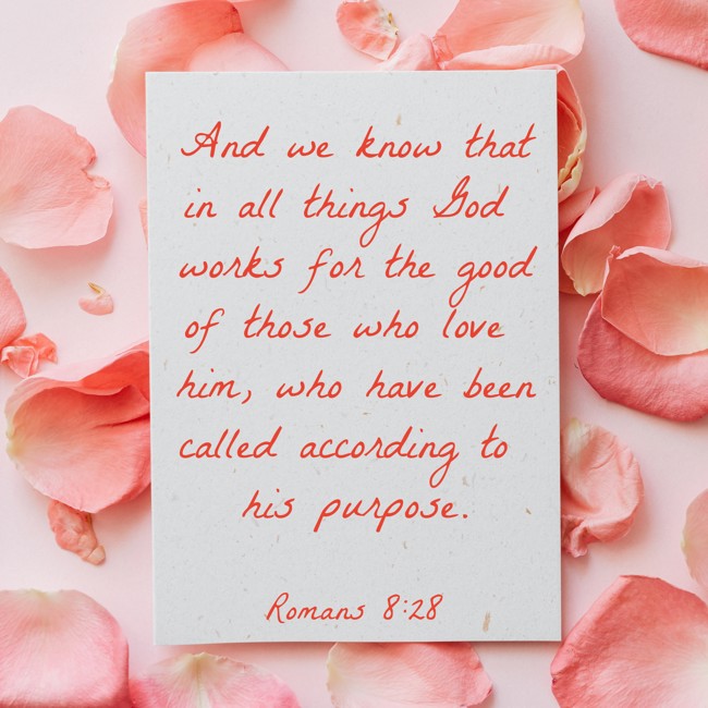  And we know that in all things God works for the good of those who love him, who have been called according to his purpose. - Romans 8:28 