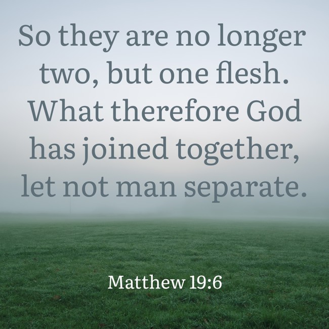  So they are no longer two, but one flesh. What therefore God has joined together, let not man separate.   - Matthew 19:6 