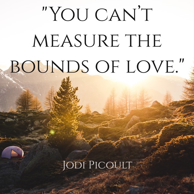  You can’t measure the bounds of love. - Jodi Picoult 
