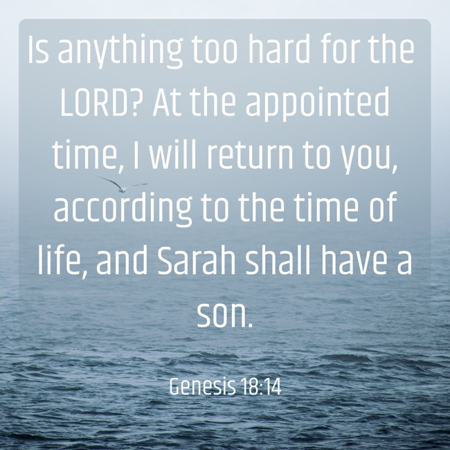 Is anything too hard for the LORD? At the appointed time, I will return to you, according to the time of life, and Sarah shall have a son. - Genesis 18:14