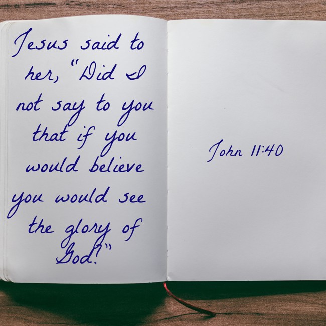 Jesus said to her, “Did I not say to you that if you would believe you would see the glory of God?” - John 11:40