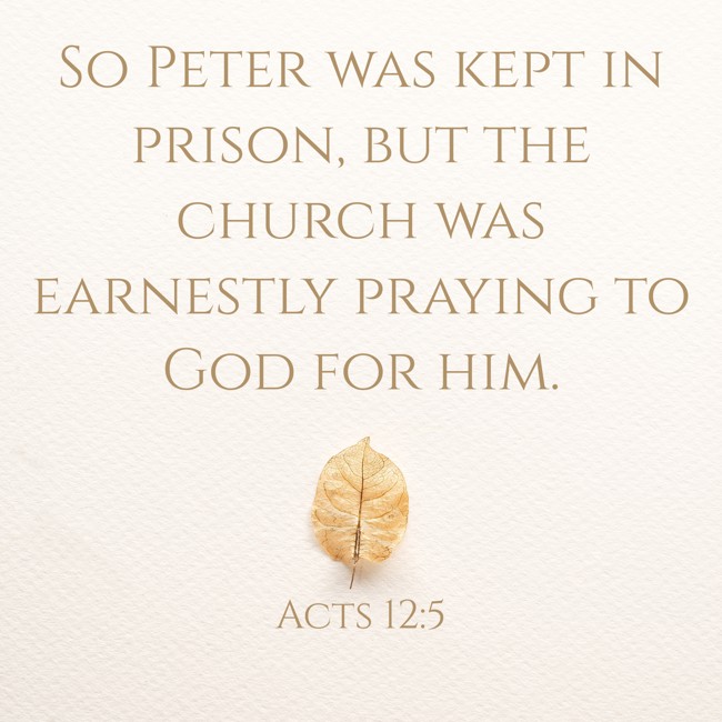 So Peter was kept in prison, but the church was earnestly praying to God for him. - Acts 12:5