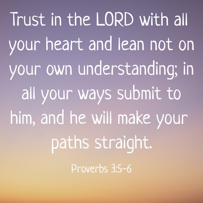 Trust in the LORD with all your heart and lean not on your own understanding; in all your ways submit to him, and he will make your paths straight. - Proverbs 3:5-6