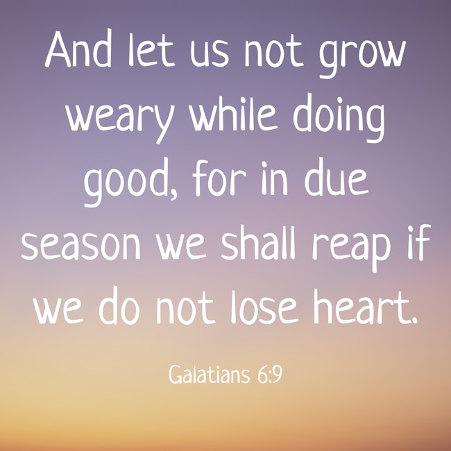And let us not grow weary while doing good, for in due season we shall reap if we do not lose heart. - Galatians 6:9